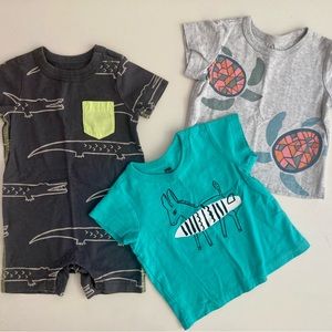 Tea Collection Bundle